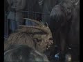 Krampuslauf St. Johann im Pongau 2.dio