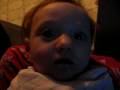 videos de MVI 2079