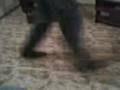 Roodi Bailando electroo,