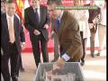 Imagen descriptiva del vídeo