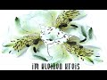 Click here to watch this video Taiga Blues - Recycling (Fast Edit)