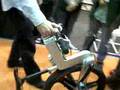厚紙板腳踏車褶疊　paper bicycle folding?