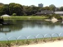 Schoolkids visit Korakuen Garden