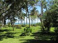 Cahuita, Costa Rica...my front yard Cahuita, Costa Rica...my front yard