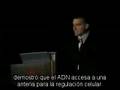 La Realidad es una Ilusión (2 de 2)