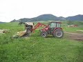 Milling Cottonwood