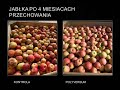 Preparat do ochrony przechowalniczej bez pozostałości.