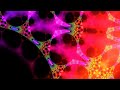 Abiguity ~draft~ Fractal Video