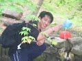 anyong!