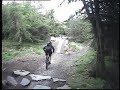 Spooky Wood Helmet Cam, Glentress