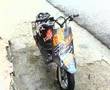 PERLA DE GLOBAL HIGUEY  PASOLA RACING