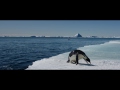 Marsul Pinguinilor 2 [trailer]