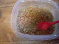 How To Make Homeade Baby Bird Food