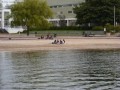Colo 2008 en scandinaviie