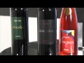 Chinchilla Rosado. Bodega Doña Felisa - Chinchilla Red Wine.mp4