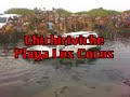 chichiriviche   venezuela 2007 numero 3