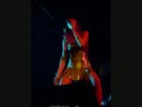 Amanda \"Don�t Stop Music e Rise Up\"