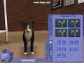 Pets Video 2