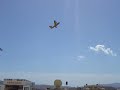 sardinia 2008 canadair CL-415