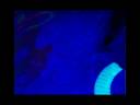 the casbah night club