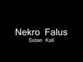 Nekro Falus - Satan Kali 