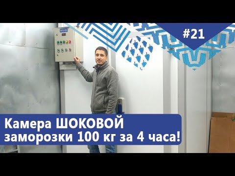 Камера шоковой заморозки продукции до 100 кг за 4 часа. Феноменальная энергоэффективность! Инвертор!