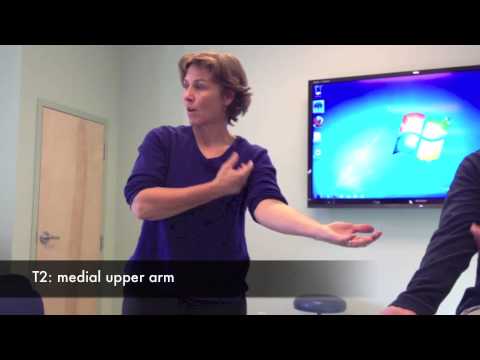 how to assess dermatomes