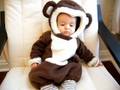 Aaden the monkey