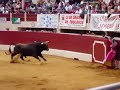 Toros Vic Fésansac Toros Vic Fésansac