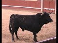 ToroAlcarria DVD 2005