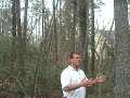 Lake Keowee Lot 16 Keowee Bay Real Estate