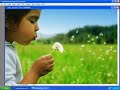 Learn Photoshop: Photoshop Training CS3 The Workspace