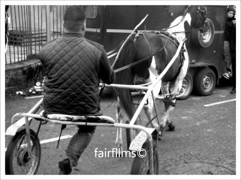 Buttevant - cork horse fair 2012.