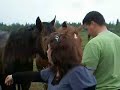 Martin Morissette et Chantal H�bert (chevaux Aylmer)
