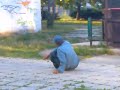 Pijan