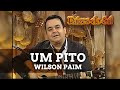 RAÍZES DO SUL - WILSON PAIM - UM PITO