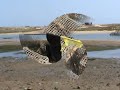 Cacela Velha video