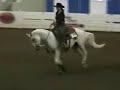 US Arabian Reining Part 2 US Arabian Reining Part 2