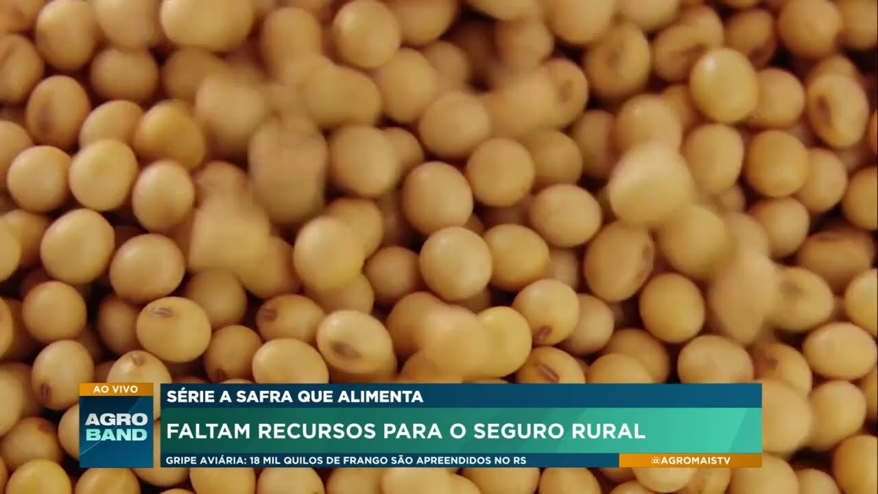 Série a safra que alimenta: faltam recursos para o seguro rural