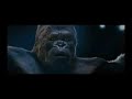King Kong Coldplay. Warning Sign