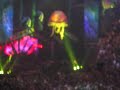 right before countdown at widespread panic on new year's eve..panic service announcement: 