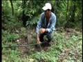SPFS Best Practices in Central America (FAO of the UN)
