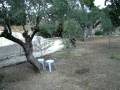 videos de 22 - Gethsemane Garden - 29/11/2008