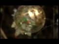 videos de il paese di natale a novara