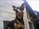 B�da
