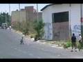 Skate Downhill Denso GDL