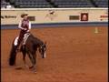 Lope On In For sale at the 2009 world show. Call 515-571-0044.