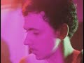 Dexy's Midnight Runners ·There There My Dear·