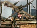Vintage Ploughing Match Tough Alford Aberdeenshire Part 2