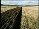 Vintage Ploughing Match Tough Alford Aberdeenshire Part 2